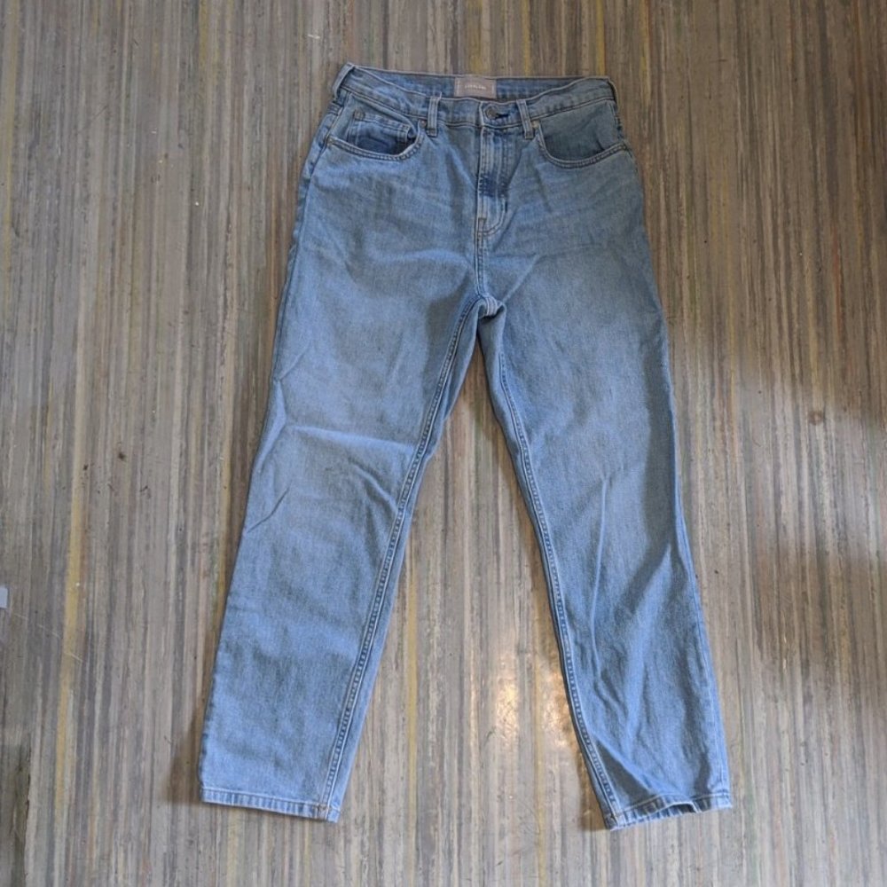 Everlane 90's Cheeky Straight Leg jean